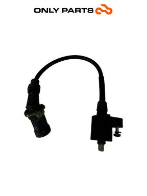Gebrauchte ZÜNDSPULE MIT KERZENSTECKER PIAGGIO X9 EVOLUTION 250 2005 Piaggio X9 evolution  250cc — echtes Foto 3