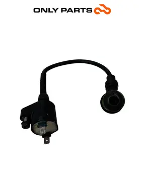 Gebrauchte ZÜNDSPULE MIT KERZENSTECKER PIAGGIO X9 EVOLUTION 250 2005 Piaggio X9 evolution  250cc — echtes Foto 5