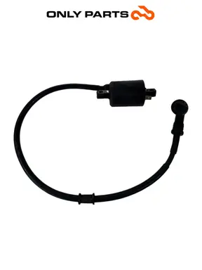 Used Ignition coil with HT lead and spark plug cap Kymco People GTi 300 Kymco People GTi 300cc 2014 Bianco — real photo 1