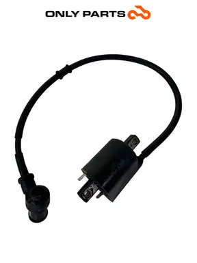 Used Ignition coil with HT lead and spark plug cap Kymco People GTi 300 Kymco People GTi 300cc 2014 Bianco — real photo 3