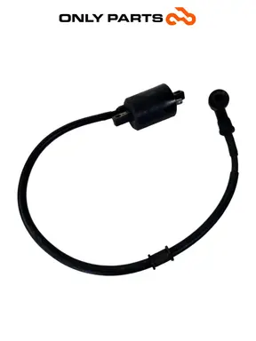 Used Ignition coil with HT lead and spark plug cap Kymco People GTi 300 Kymco People GTi 300cc 2014 Bianco — real photo 5