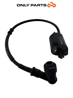 Used Ignition coil with HT lead and spark plug cap Kymco People GTi 300 Kymco People GTi 300cc 2014 Bianco — real photo 6