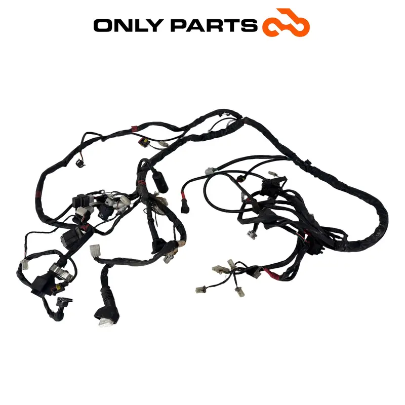 Main wiring loom Aprilia Scarabeo 300 2010