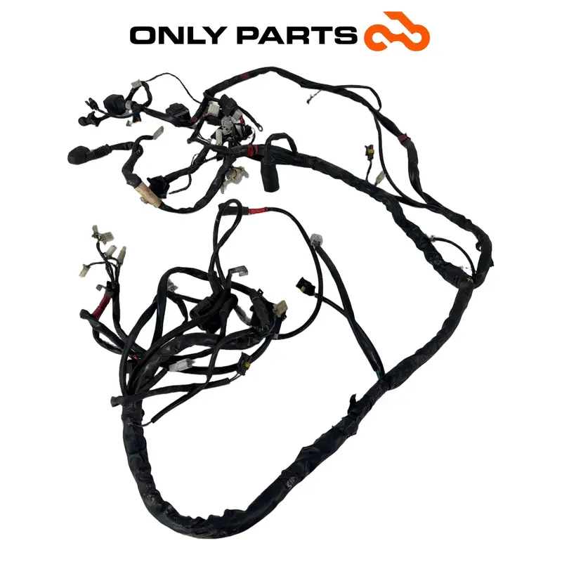 Main wiring loom Aprilia Scarabeo 300 2010 — 2