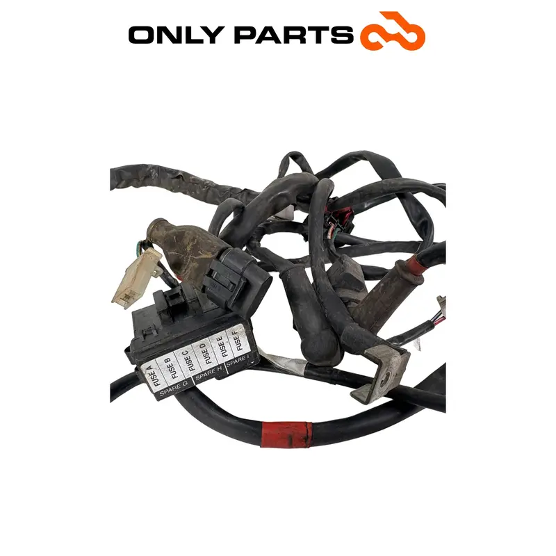 Main wiring loom Aprilia Scarabeo 300 2010 — 4