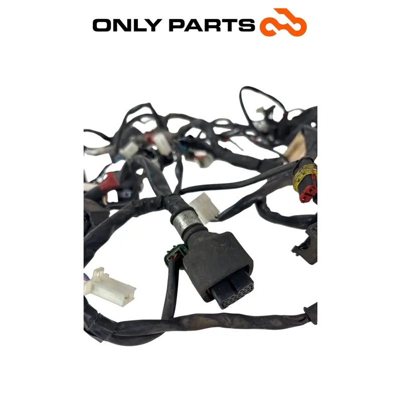 Main wiring loom Aprilia Scarabeo 300 2010 — 5