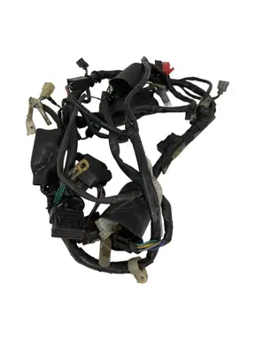 Cablaggio elettrico principale