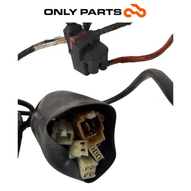 Used Main wiring loom Honda Sh 150cc 2002 Azzurro — real photo 6