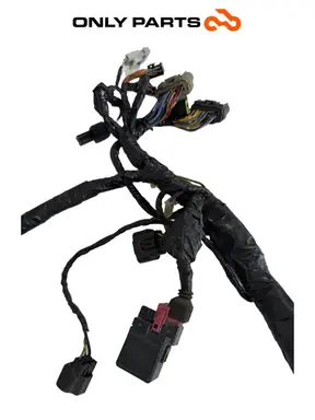 Gebrauchte Cablaggio elettrico principale Kawasaki Z 750cc 2004 Nera — echtes Foto 8