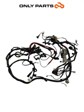 Cablaggio elettrico principale