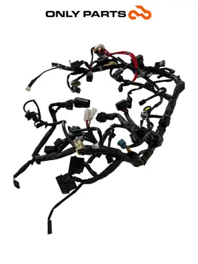 Cablaggio elettrico principale