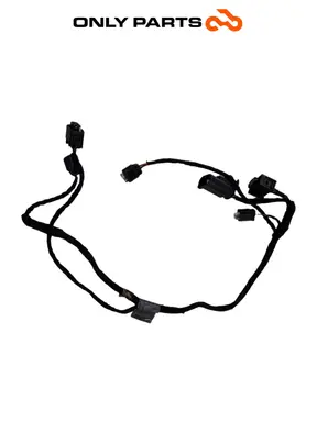 Cablaggio Keyless antenna