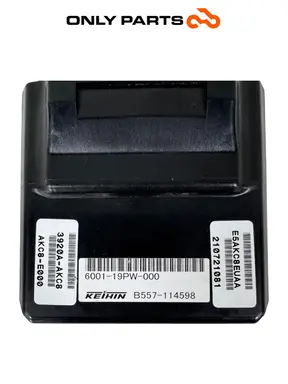 Gebrauchte Centralina ECU Kymco People S 300cc 2021 Grigio — echtes Foto 9