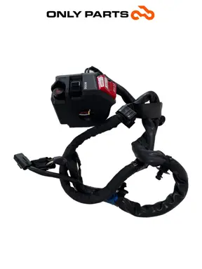 Gebrauchte Commutatore DX / blocchetto avviamento Yamaha Tracer 900cc 2019 Nero — echtes Foto 4