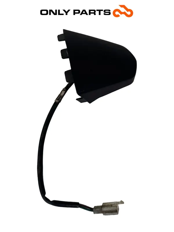 Kennzeichenbeleuchtung hinten komplett mit Kabel Kymco People GTi 300 — 4