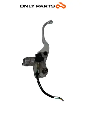 Gebrauchte Pompa freno anteriore destra + leva Kymco People S 300cc 2021 Grigio — echtes Foto 6