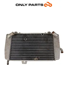 Radiador de refrigeración de aluminio Piaggio MP3 Yourban 300 2013 Piaggio Mp3 Yourban 300cc 2013 Bianco de segunda mano — foto real 11