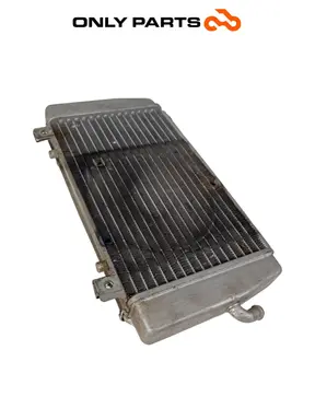 Radiador de refrigeración de aluminio Piaggio MP3 Yourban 300 2013 Piaggio Mp3 Yourban 300cc 2013 Bianco de segunda mano — foto real 5