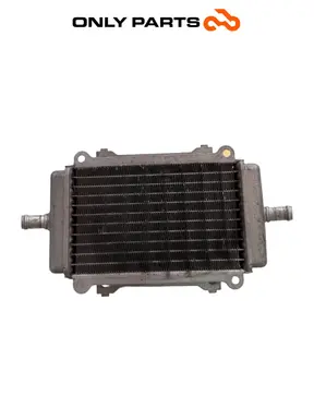 Gebrauchte Radiatore acqua Piaggio Vespa GT 200cc 2003 Viola — echtes Foto 3
