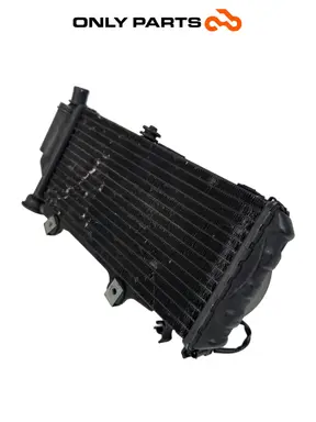 CHLADIČ VODY S VENTILÁTOREM BMW F 650 CS 2001 BMW F 650 CS 2001 Grigio použitý — skutečná fotka 7