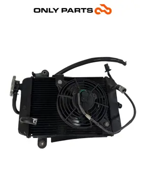 Radiatore acqua + ventola Honda SH 300i 2008 Grigio używana — prawdziwe zdjęcie 2