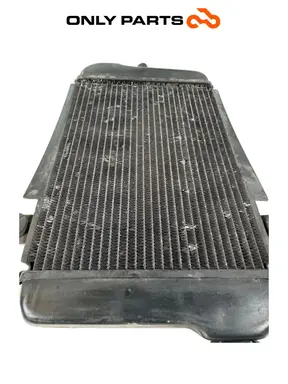 Radiatore acqua + ventola Honda SH 300i 2008 Grigio używana — prawdziwe zdjęcie 8