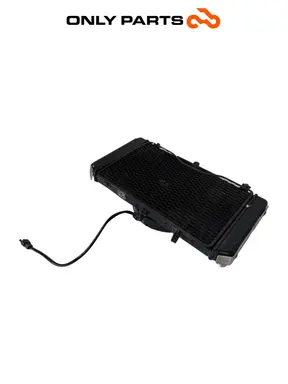 Gebrauchte Radiatore acqua + ventola Kawasaki Z 750cc 2004 Nera — echtes Foto 3