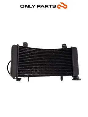 Gebrauchte Radiatore acqua + ventola KTM Super Duke 990cc 2006 Nero/Arancione — echtes Foto 1