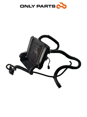 Gebrauchte Radiatore acqua + ventola Kymco People S 300cc 2021 Grigio — echtes Foto 1