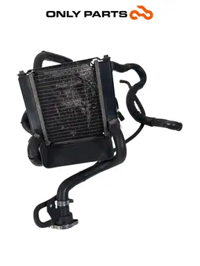 Gebrauchte Radiatore acqua + ventola Kymco People S 300cc 2021 Grigio — echtes Foto 2