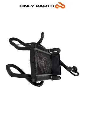Gebrauchte Radiatore acqua + ventola Kymco People S 300cc 2021 Grigio — echtes Foto 6
