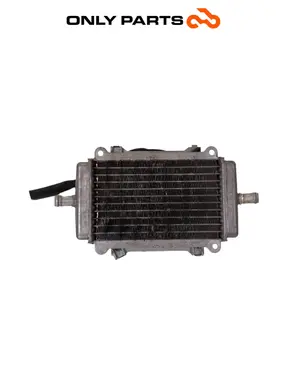 Gebrauchte Radiatore acqua + ventola Piaggio Vespa GT 200cc 2003 Viola — echtes Foto 2