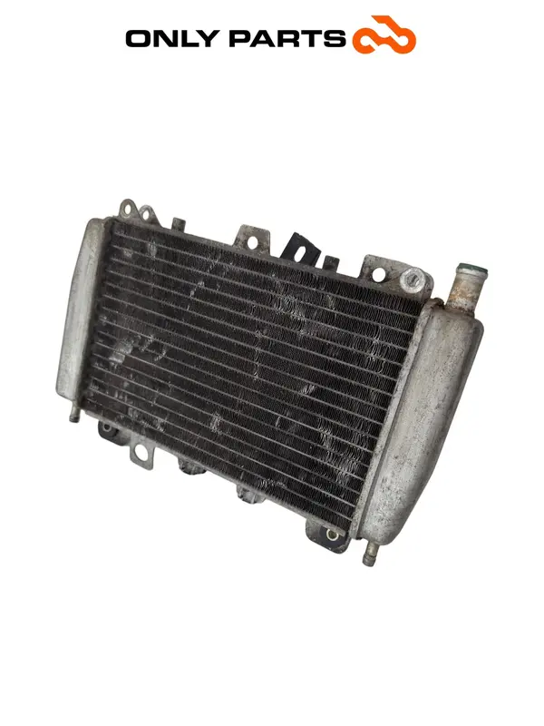 CHLADIČ VODY S ELEKTROVENTILÁTOREM PIAGGIO X9 EVOLUTION 250 2005