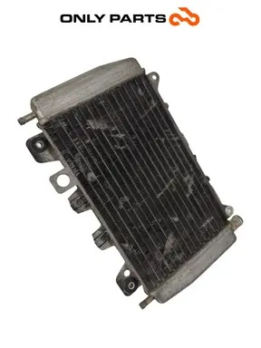 Radiatore acqua + ventola Piaggio X9 evolution  250cc usato — foto reale 10