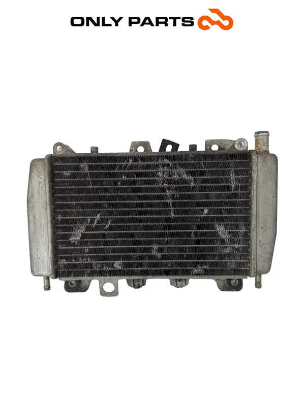 CHLADIČ VODY S ELEKTROVENTILÁTOREM PIAGGIO X9 EVOLUTION 250 2005 — 2