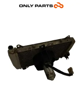 Radiatore acqua + ventola Piaggio X9 evolution  250cc usato — foto reale 4