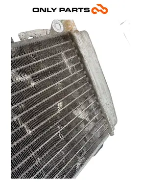 Radiatore acqua + ventola Piaggio X9 evolution  250cc usato — foto reale 7