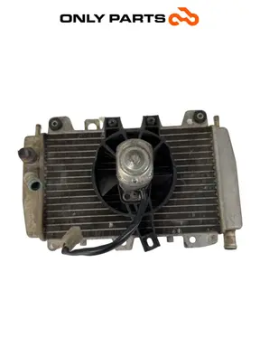 Radiatore acqua + ventola Piaggio X9 evolution  250cc usato — foto reale 8