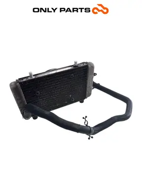 Gebrauchte Radiatore acqua + ventola Yamaha X-max 125cc 2014 Grigio opaco — echtes Foto 8