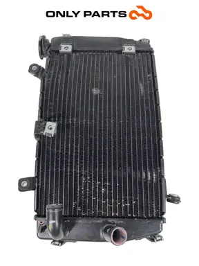 Gebrauchte Radiatore di raffreddamento Aprilia RS 457cc 2024 — echtes Foto 5