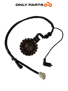 Estator alternador magneto de ignição Piaggio MP3 Yourban 300 2013 OEM Piaggio Mp3 Yourban 300cc 2013 Bianco usada — foto real 1